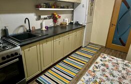 Apartament 2 camere,48 mp utili, Nord