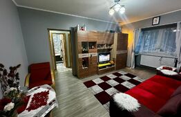 Apartament 2 camere,48 mp utili, Nord