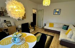 Apartament 2 camere, 42mp, zona Mihai Bravu