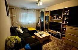 Apartament, 2 camere, 50mp, zona 9 Mai 