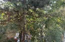 Apartament 3 camere semidecomandat, 59mp, zona Complexul Mic