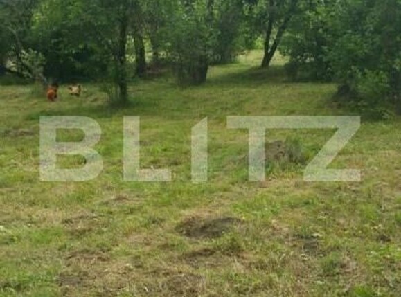 Teren de vânzare Exterior Nord - 141005TV | BLITZ Ploieşti | Poza3