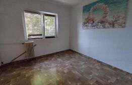 Apartament 2 camere, 50mp, Paltinis