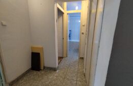 Apartament 2 camere, 50mp, Paltinis