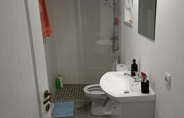 Casa 60 mp + teren de 4200mp in Manesti PH