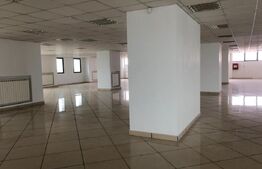 Spatiu comercial, de 2500 mp, Exterior Est
