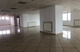 Spatiu comercial, de 2500 mp, Exterior Est