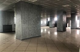 Spatiu comercial, de 2500 mp, Exterior Est