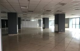 Spatiu comercial, de 2500 mp, Exterior Est