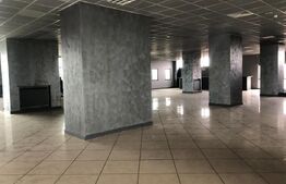 Spatiu comercial, de 2500 mp, Exterior Est