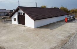 Hala 300mp + teren 6000mp intravilan, Aricesti Rahtivani