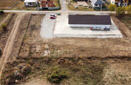 Hala 300mp + teren 6000mp intravilan, Aricesti Rahtivani