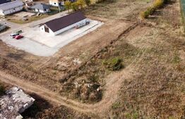 Hala 300mp + teren 6000mp intravilan, Aricesti Rahtivani