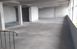 Spatiu comercial P+1, Puchenii Mosneni
