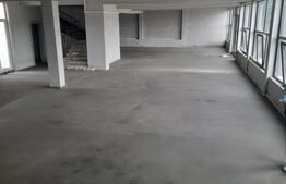 Spatiu comercial P+1, Puchenii Mosneni