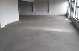 Spatiu comercial P+1, Puchenii Mosneni