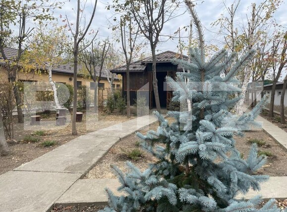 Casa de închiriat 4 camere Exterior Est - 142128CI | BLITZ Ploieşti | Poza11