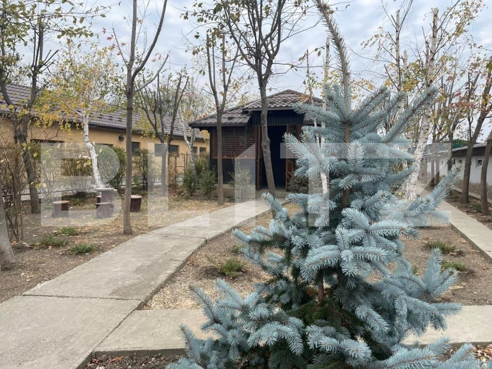 Casa de închiriat 4 camere Exterior Est - 142128CI | BLITZ Ploieşti | Poza11