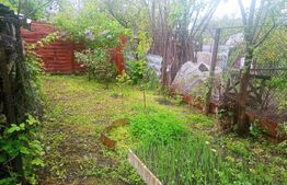 Apartament 3 camere decomandat, in vila, cu terten si intrarea separata, Campina