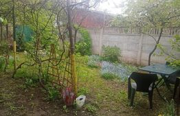 Apartament 3 camere decomandat, in vila, cu terten si intrarea separata, Campina