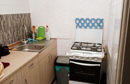 Apartament 3 camere decomandat, in vila, cu terten si intrarea separata, Campina