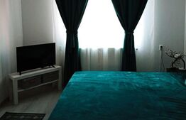 Apartament 3 camere decomandat, in vila, cu terten si intrarea separata, Campina