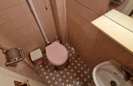 Apartament in vila, 4 camere, 120 mp utili, teren 122mp, Central