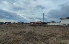 Teren 900 mp, cartier Albert