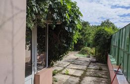 Casa  5 camere, 170mp, 1200mp Teren, Dorobantu