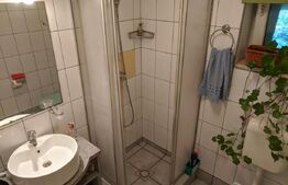 Casa  5 camere, 170mp, 1200mp Teren, Dorobantu