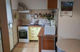 Casa  5 camere, 170mp, 1200mp Teren, Dorobantu