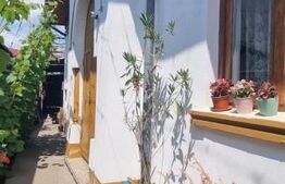 Casa individuala, 3 camere, 100 mp, teren 250 mp, Rudului