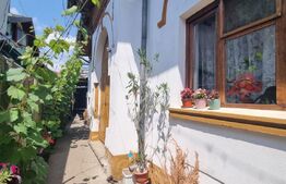 Casa individuala, 3 camere, 100 mp, teren 250 mp, Rudului