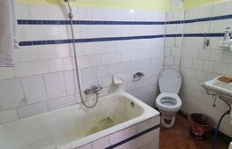 Casa individuala, 3 camere, 100 mp, teren 250 mp, Rudului