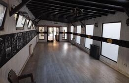 Casa individuala 10 camere, 400mp, teren 452mp, Central