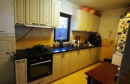 Casa cu 5 camere, 200 mp utili, teren cu 200 mp, Bereasca