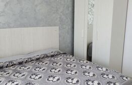 Apartament cu 2 camere, 47 mp, decomandat, Malu Rosu