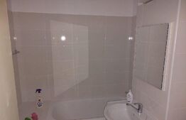 Apartament cu 2 camere, 47 mp, decomandat, Malu Rosu