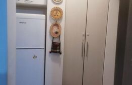 Garsoniera, 30 mp, mobilata, Vest