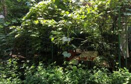 Apartament cu 3 camere, decomandat, 57mp, Nord