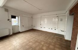 Casa 11 camere, 720mp teren, Ultracentral