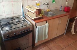 Casa 11 camere, 720mp teren, Ultracentral