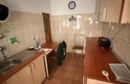 Casa 11 camere, 720mp teren, Ultracentral