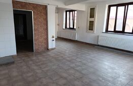 Casa 11 camere, 720mp teren, Ultracentral