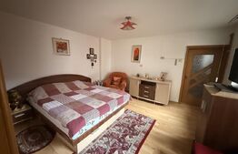 Casa 11 camere, 720mp teren, Ultracentral