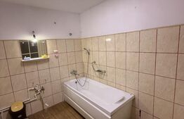 Casa 11 camere, 720mp teren, Ultracentral