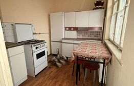 Casa 11 camere, 720mp teren, Ultracentral