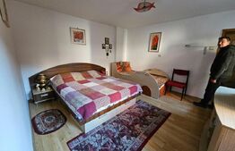 Casa 11 camere, 720mp teren, Ultracentral