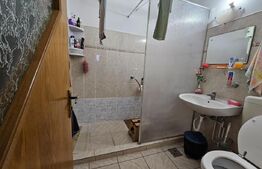 Casa 11 camere, 720mp teren, Ultracentral