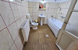 Casa 11 camere, 720mp teren, Ultracentral